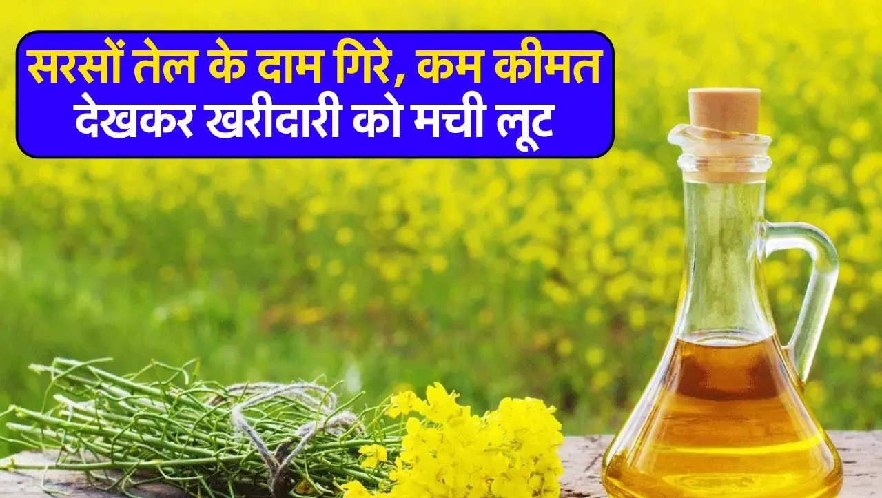 Mustard Oil Price: सरसों तेल के दाम गिरे, कम कीमत देखकर खरीदारी को मची लूट, जाने ताज़ा भाव