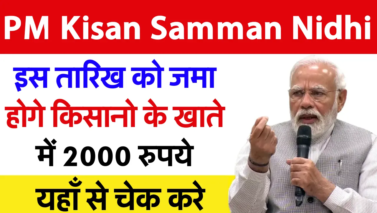 PM Kisan Samman Nidhi 17th Kist: पीएम किसान योजना की 17वि क़िस्त जारी, यहाँ से चेक करे