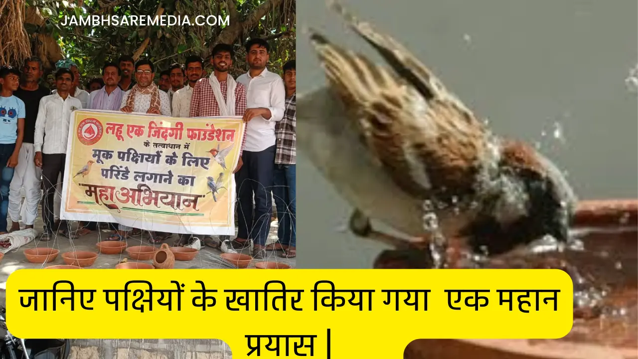 लहु एक जिंदगी फाउंडेशन: 10000 पक्षियों के लिए एक आवश्यक संसाधन