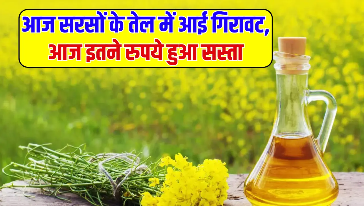 Mustard Oil Price: आज सरसों के तेल में आई गिरावट, आज इतने रुपये हुआ सस्ता