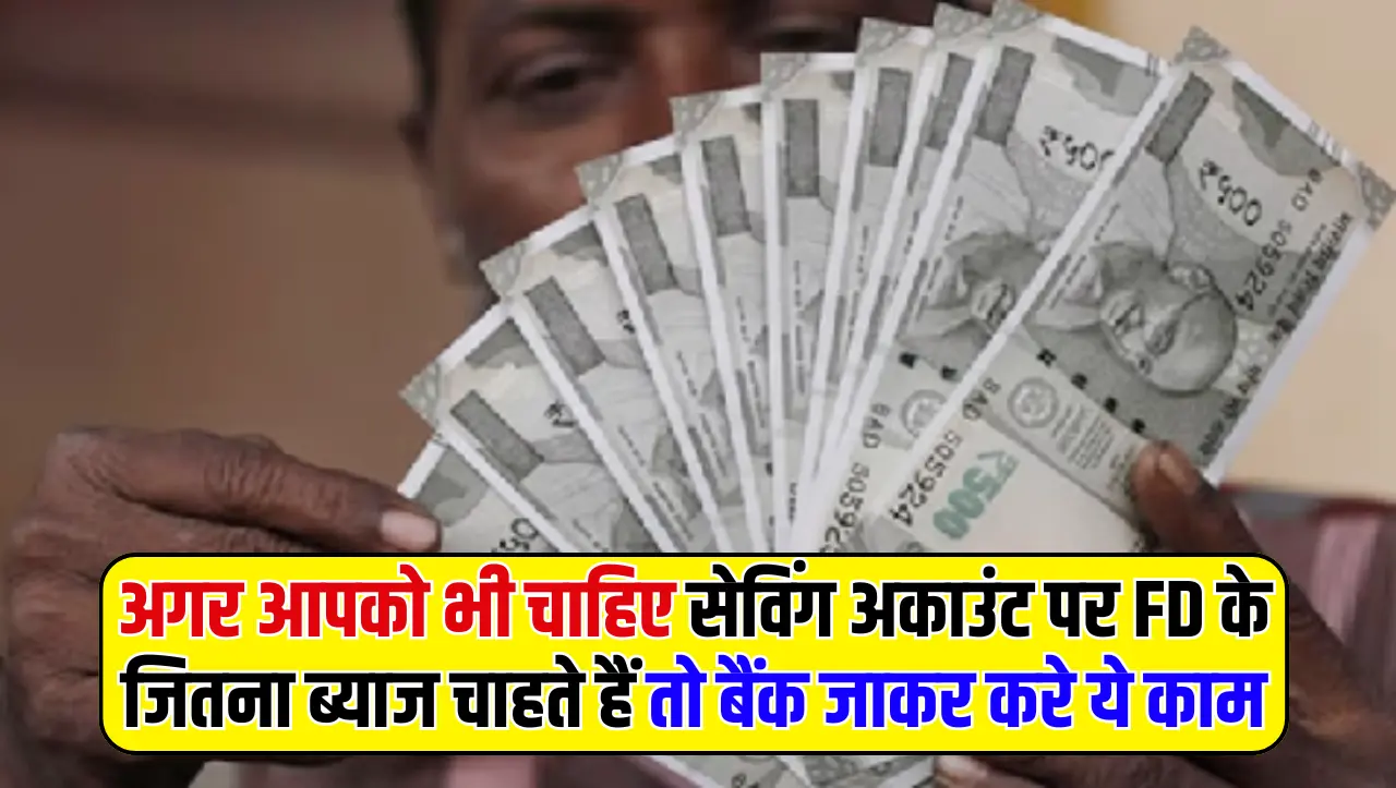 Saving Account: अगर आपको भी चाहिए सेविंग अकाउंट पर FD के जितना ब्याज चाहते हैं तो बैंक जाकर करे ये क