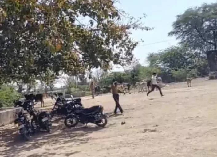 चित्तौड़गढ़ मधुमक्खी हमला ,पारसोली गांव घटना ,श्मशान घाट हमला ,मधुमक्खी डंक हादसा ,अंतिम संस्कार के दौरान हादसा