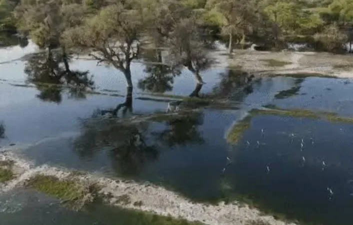 राजस्थान समाचार, जोधपुर समाचार, पाली समाचार, बालोतरा समाचार, नदी प्रदूषण, लूणी नदी, बांदी नदी, जोजारी नदी, भारत का सर्वोच्च न्यायालय, पर्यावरण संबंधी मुद्दे, प्रदूषण नियंत्रण, राजस्थान सरकार