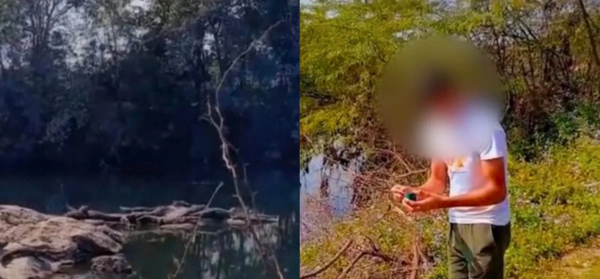 कोटा खबर, मगरमच्छ वीडियो, सुतली बम, वायरल वीडियो