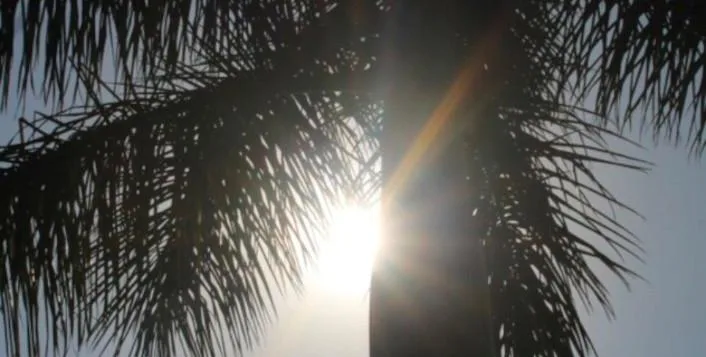 राजस्थान मौसम, बारिश संभावना, वेस्टर्न डिस्टर्बेंस, हीटवेव, तापमान 40 पार, बाड़मेर गर्मी