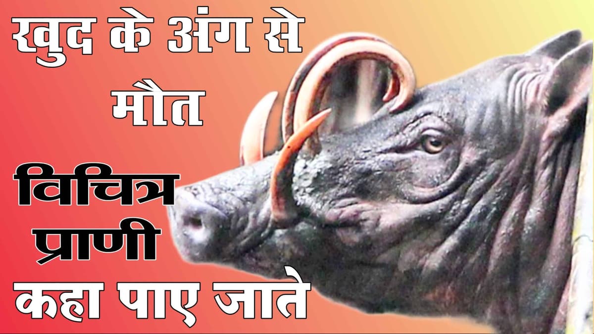 ऐसा प्राणी जिसकी मोत का कारण उसके खुदके अंग से होते हो