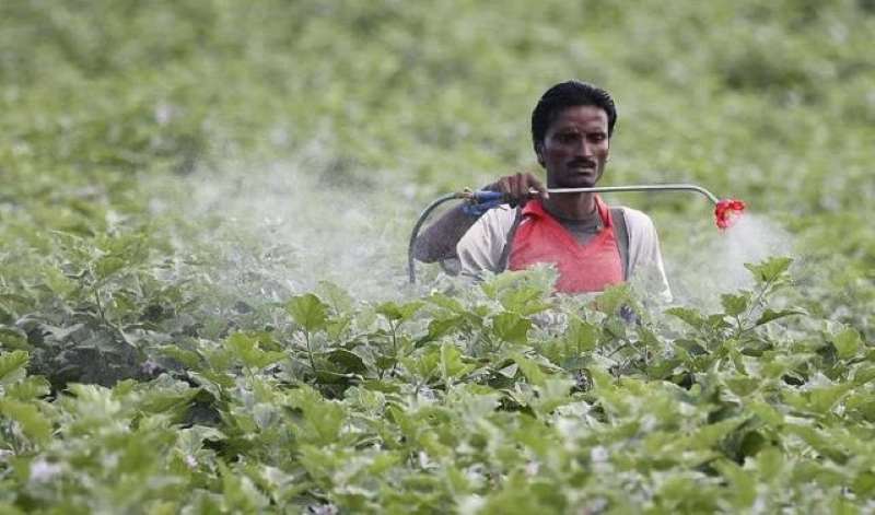 केंद्र सरकार ने सुप्रीम कोर्ट में सुनवाई से पहले ही फसलों में डालने वाला कीटनाशक 'मोनोक्रोटोफस' किया