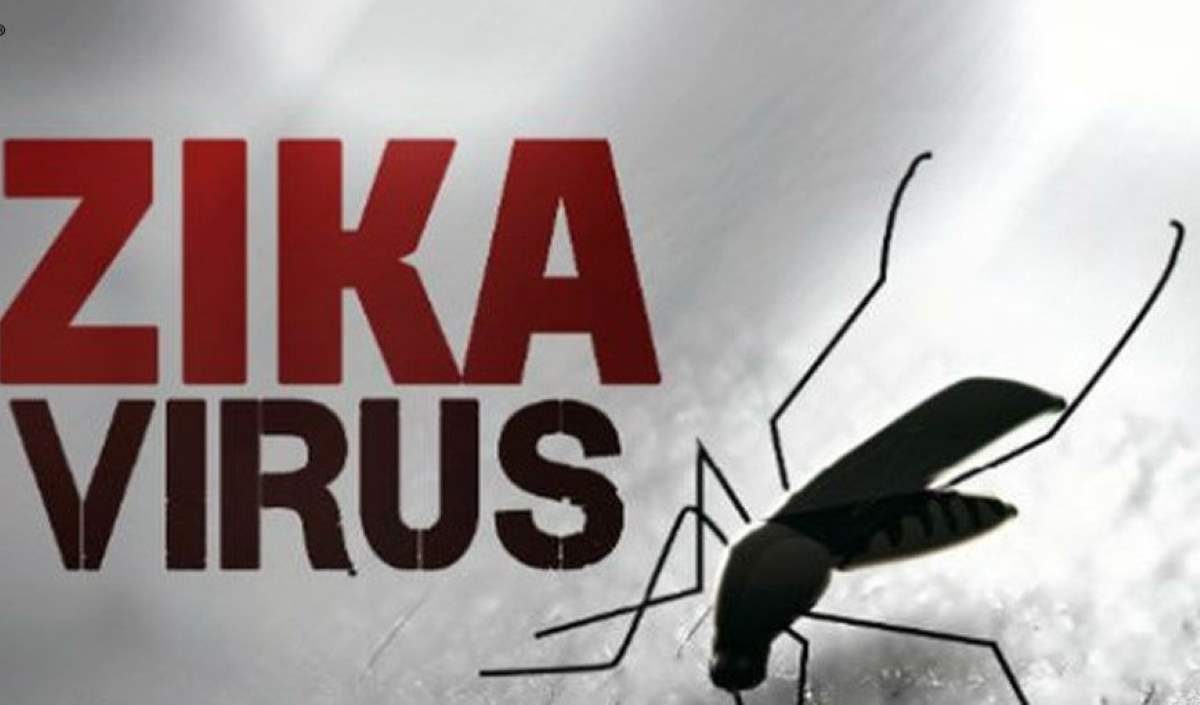 बेंगलुरू के पास जीका वायरस पाए जाने के बाद कर्नाटक हाई अलर्ट पर, रोकथाम के उपाय लागू