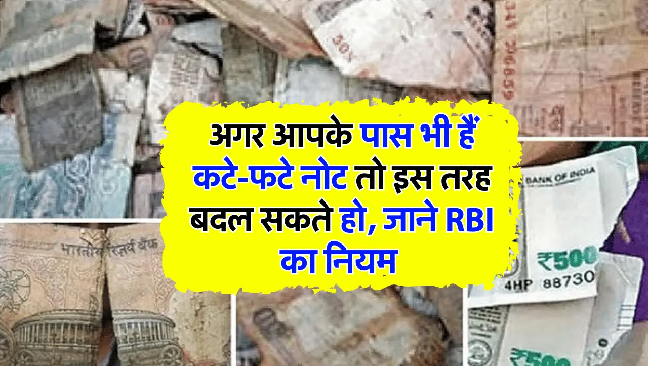 अगर आपके पास भी हैं कटे-फटे नोट तो इस तरह बदल सकते हो, जाने RBI का नियम