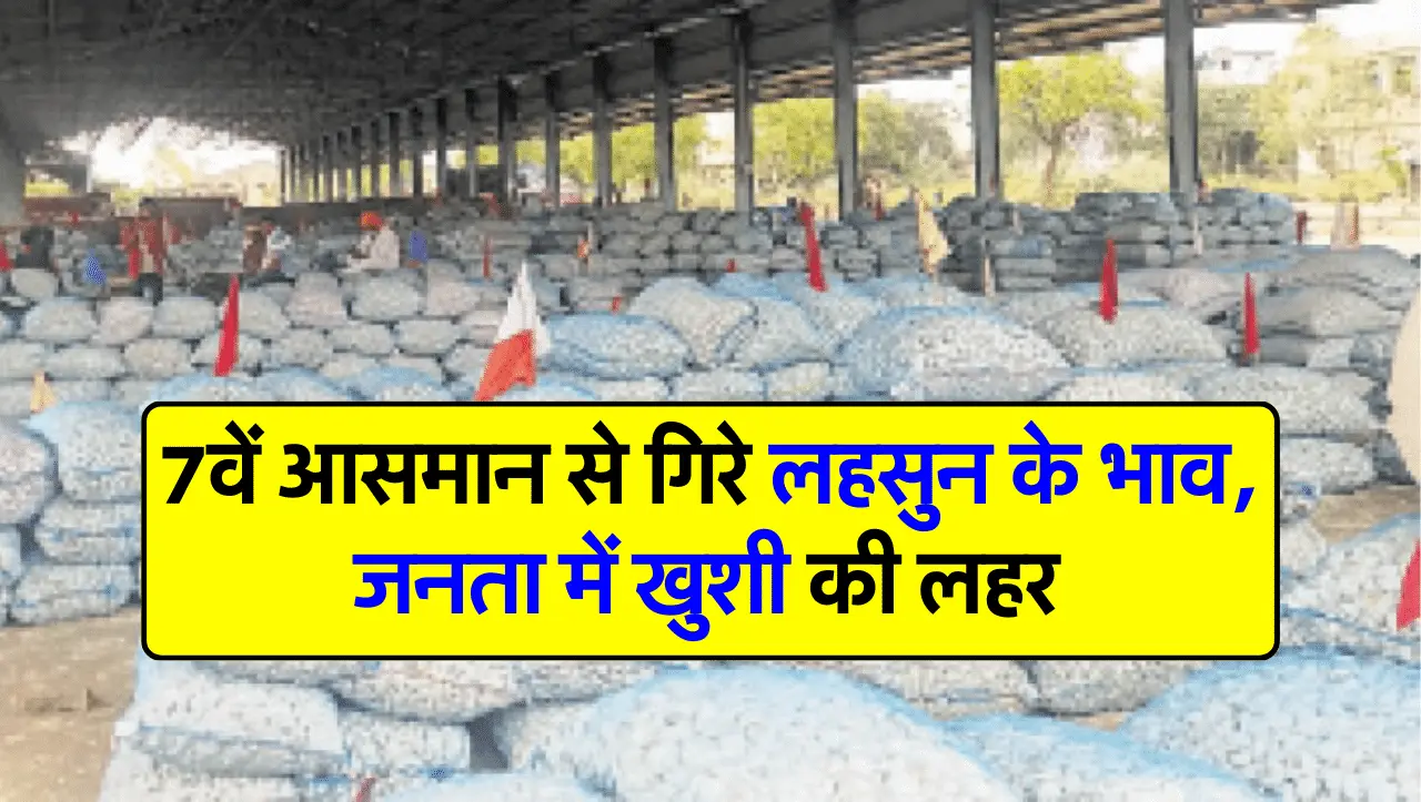 7वें आसमान से गिरे लहसुन के भाव, जनता में खुशी की लहर