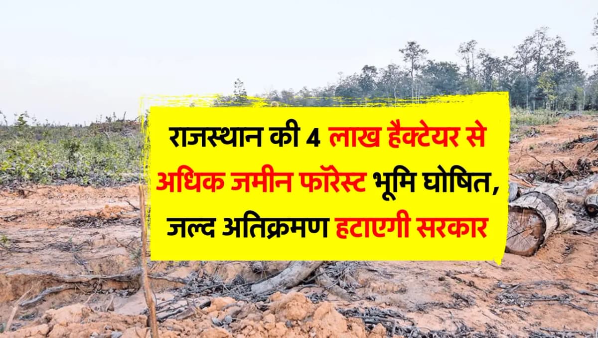 राजस्थान की 4 लाख हैक्टेयर से अधिक जमीन फॉरेस्ट भूमि घोषित, जल्द अतिक्रमण हटाएगी सरकार