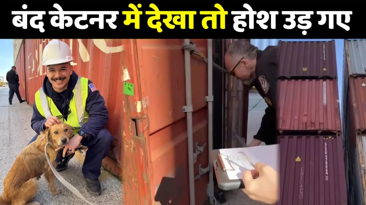 जहाजों मे भरकर हजारों किलोमीटर दूर जाने वाले बंद केटनर मे आई आवाज ने सबके होस उड़ा दिये