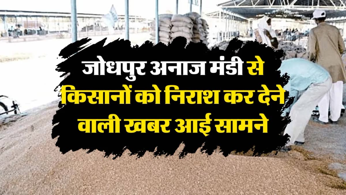 Jodhpur Mandi Ke Bhav: जोधपुर अनाज मंडी से किसानों को निराश कर देने वाली खबर आई सामने, जानिए ताजा मं