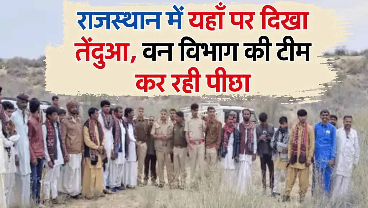 राजस्थान में यहाँ पर दिखा तेंदुआ, वन विभाग की टीम कर रही पीछा