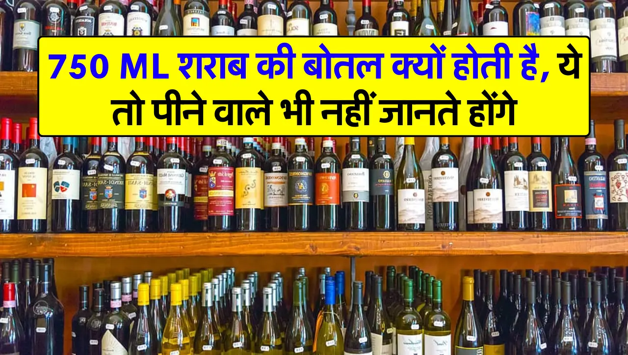Wine Bottle : 750 ML शराब की बोतल क्यों होती है, ये तो पीने वाले भी नहीं जानते होंगे