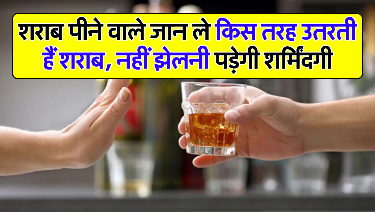 शराब पीने वाले जान ले किस तरह उतरती हैं शराब, नहीं झेलनी पड़ेगी शर्मिंदगी