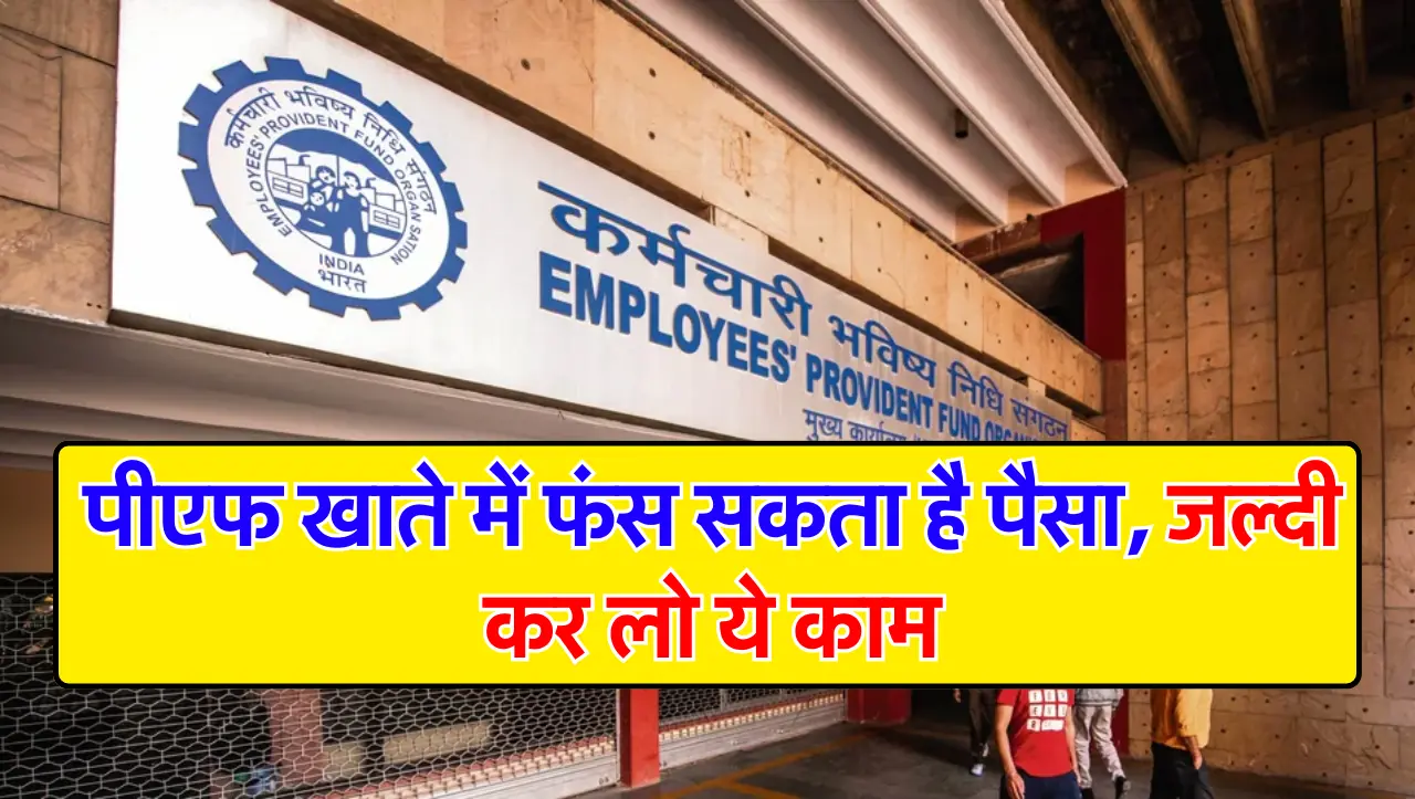 EPFO UPDATE : पीएफ खाते में फंस सकता है पैसा, जल्दी कर लो ये काम