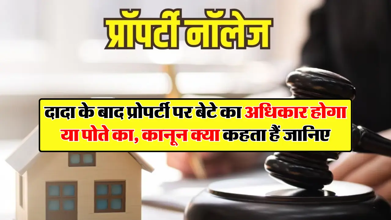 दादा के बाद प्रोपर्टी पर बेटे का अधिकार होगा या पोते का, कानून क्या कहता हैं जानिए