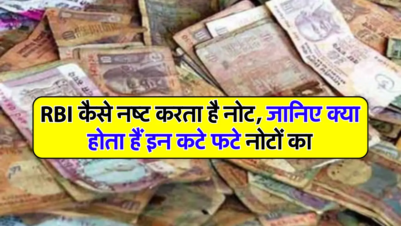RBI कैसे नष्ट करता है नोट, जानिए क्या होता हैं इन कटे फटे नोटों का