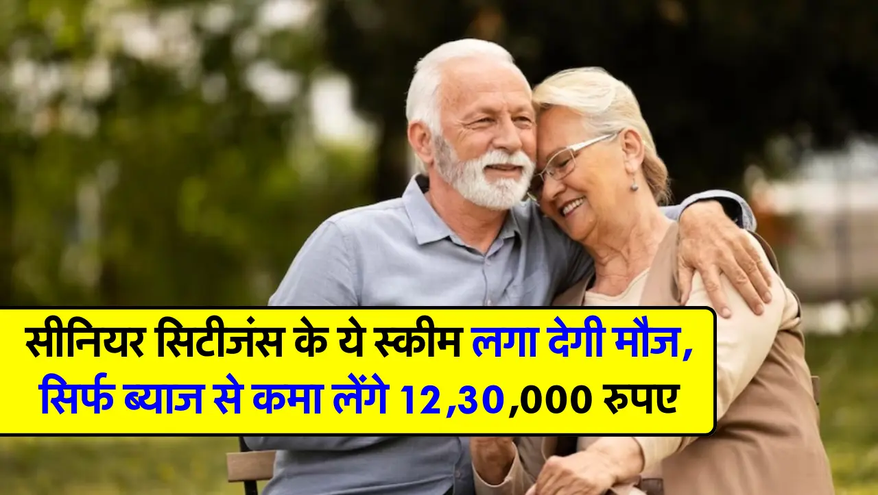 सीनियर सिटीजंस के ये स्कीम लगा देगी मौज, सिर्फ ब्याज से कमा लेंगे 12,30,000 रुपए