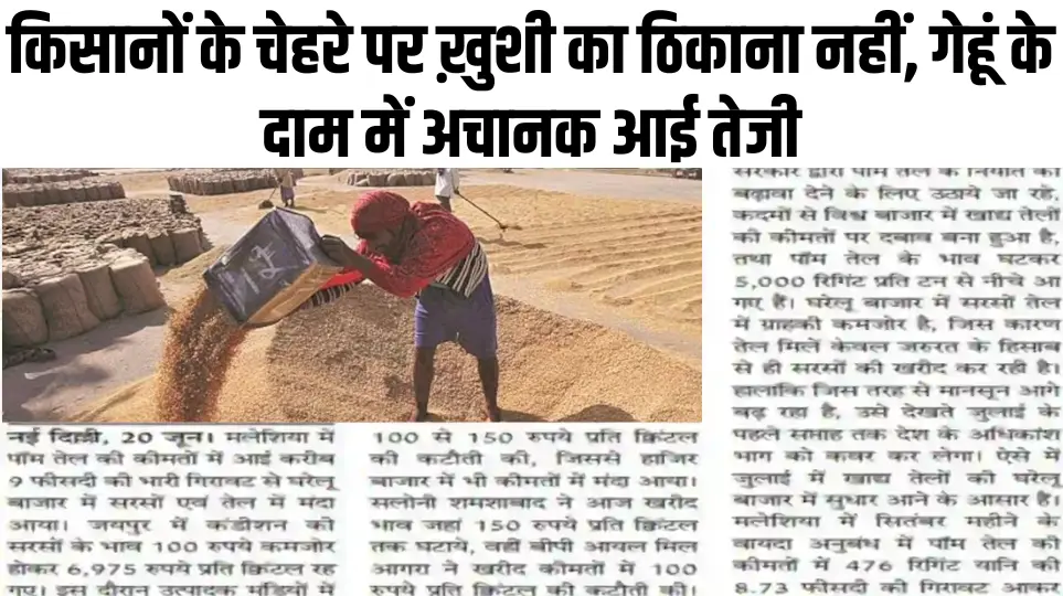 Wheat Price : गेहूं के दाम में अचानक आई तेजी, किसानों के चेहरे पर ख़ुशी का ठिकाना नहीं, जानिए ताज़ा