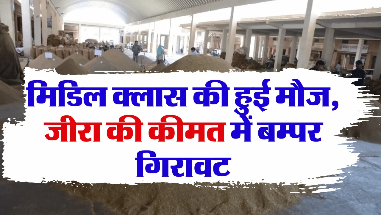 Jeera Prices: मिडिल क्लास की हुई मौज, जीरा की कीमत में बम्पर गिरावट