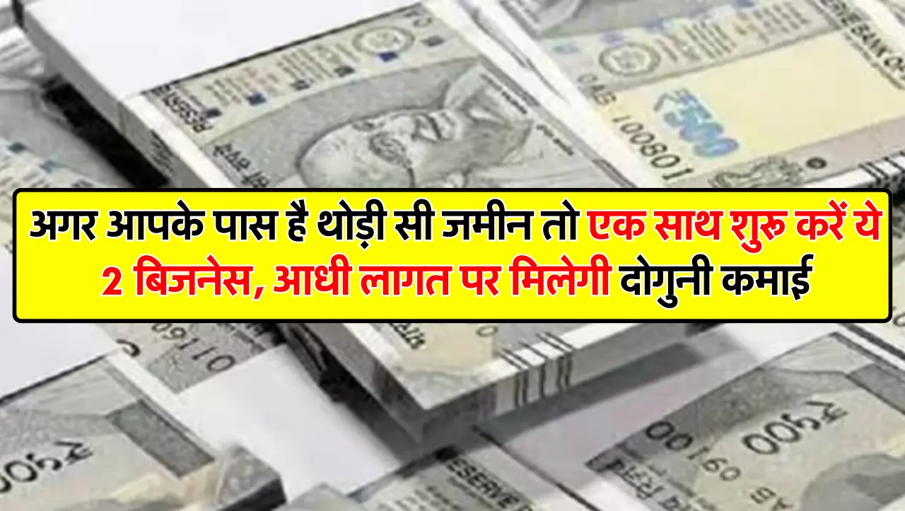 अगर आपके पास है थोड़ी सी जमीन तो एक साथ शुरू करें ये 2 बिजनेस, आधी लागत पर मिलेगी दोगुनी कमाई