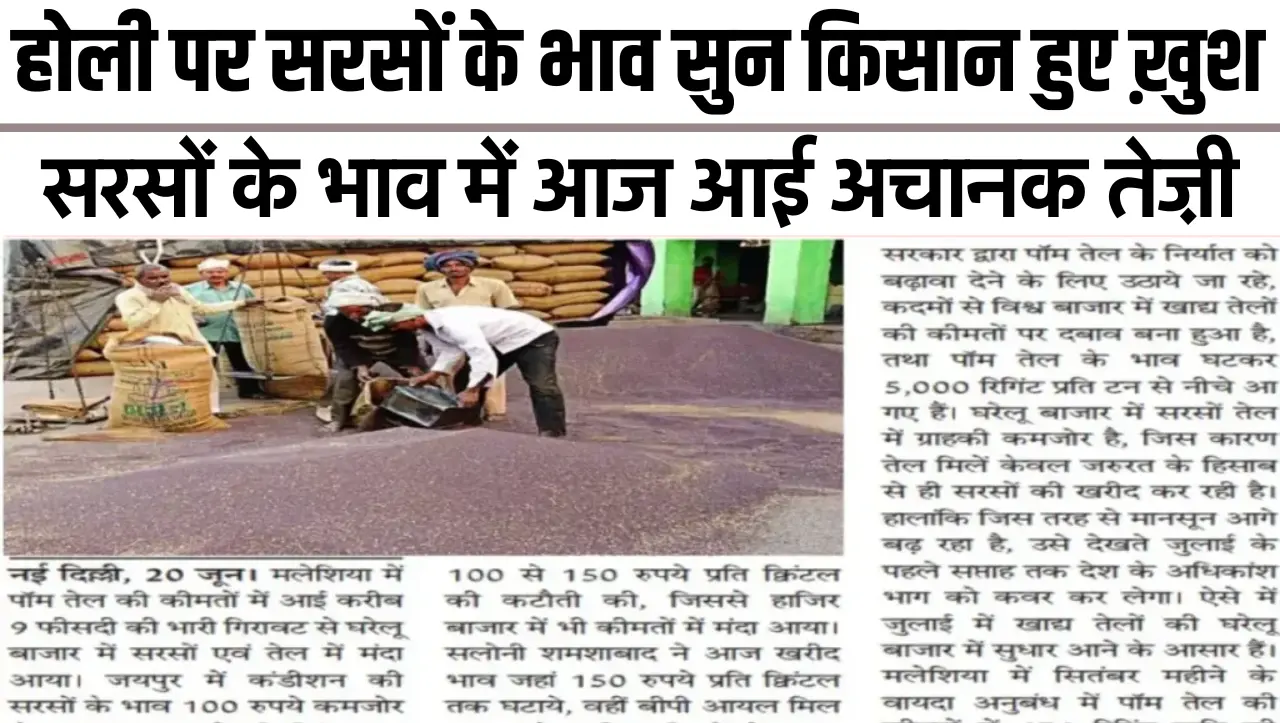Sarson Mandi Rates : होली पर सरसों के भाव सुन किसान हुए ख़ुश, सरसों के भाव में आज आई अचानक तेज़ी, दे