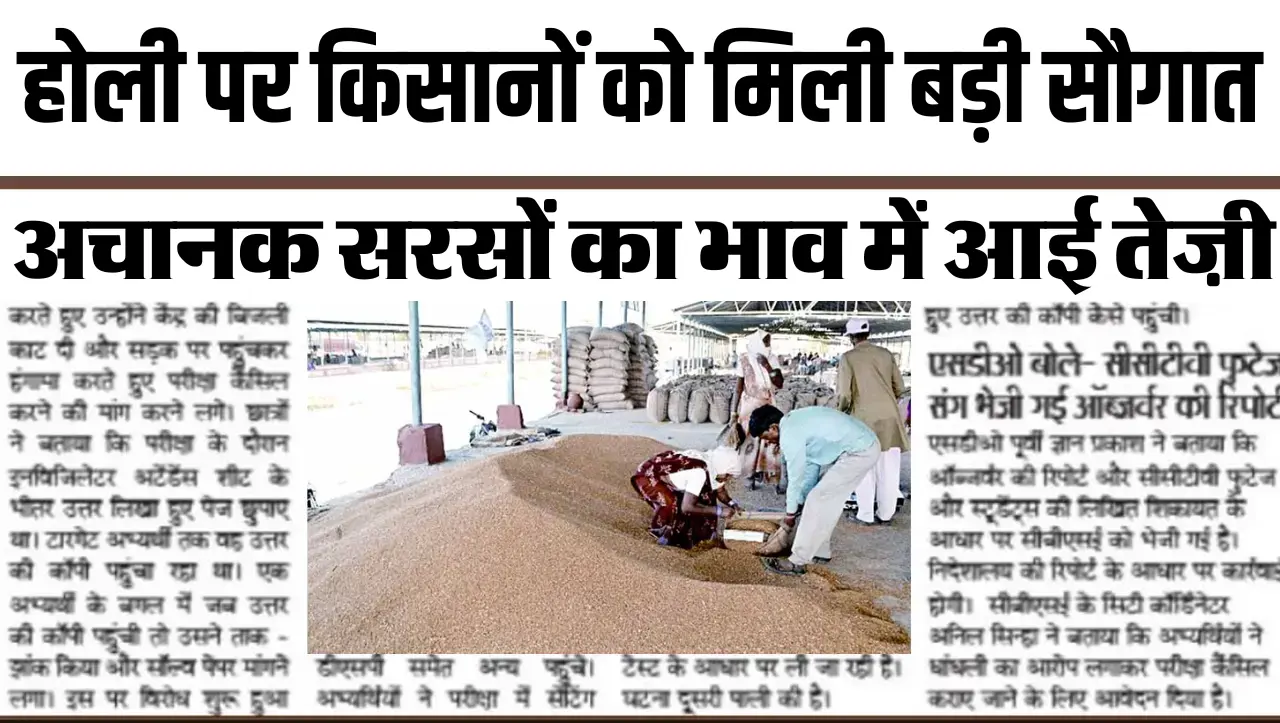 Sarson Mandi Bhav : होली पर किसानों को मिली बड़ी सौगात, अचानक सरसों का भाव में आई तेज़ी, जानें आज के