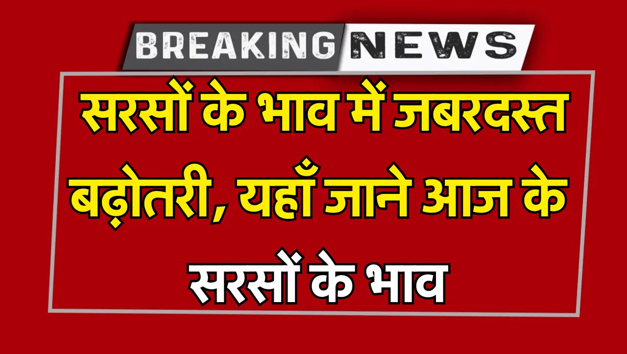 Sarso Mandi Bhav: सरसों के भाव में जबरदस्त बढ़ोतरी, ताजा रेट जान सरसों लेकर मंडी पहुंचे किसान