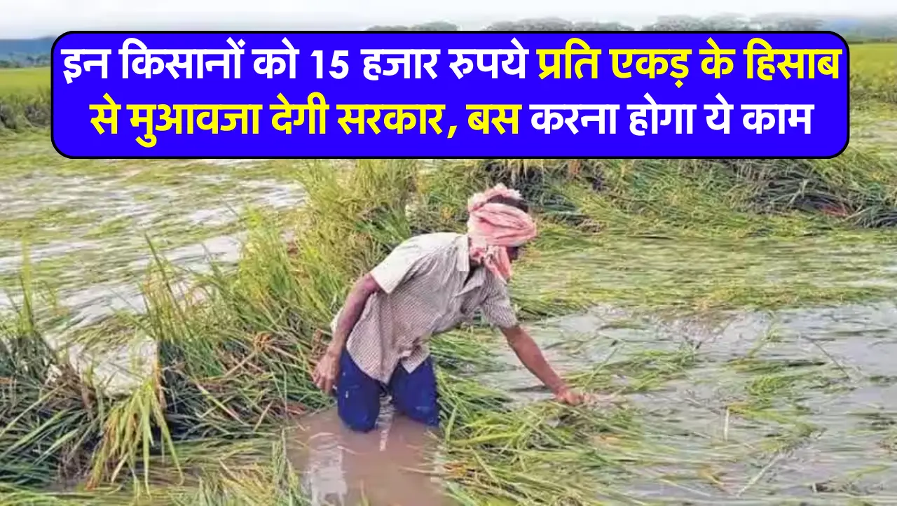 इन किसानों को 15 हजार रुपये प्रति एकड़ के हिसाब से मुआवजा देगी सरकार, बस करना होगा ये काम