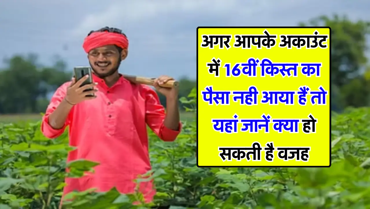 अगर आपके अकाउंट में 16वीं किस्त का पैसा नही आया हैं तो यहां जानें क्या हो सकती है वजह