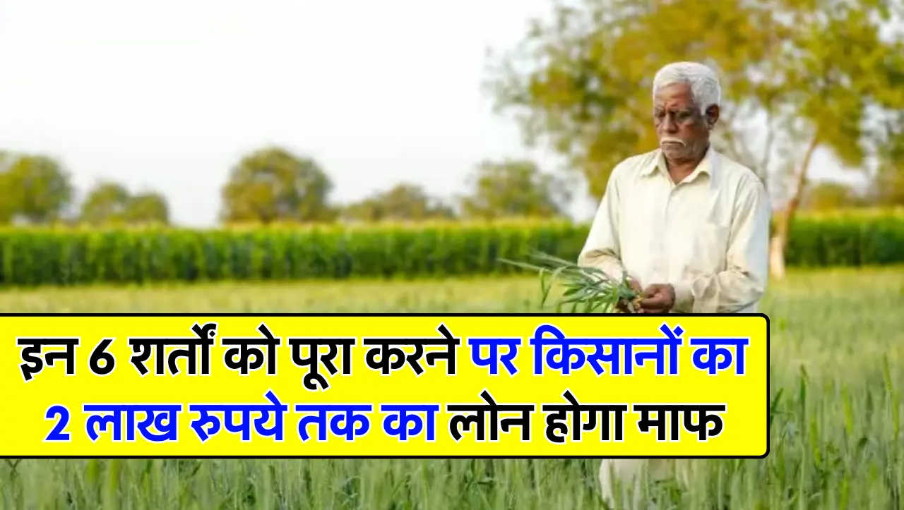 किसानो के लिए बड़ी खुशखबरी अब इन 6 शर्तों को पूरा करने पर किसानों का 2 लाख रुपये तक का लोन होगा माफ