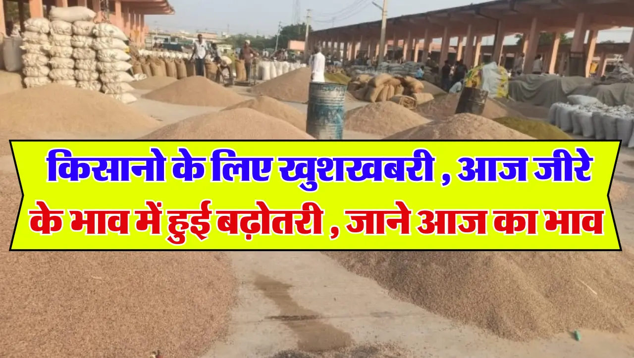 Jeera Ka Bhav Today : किसानो के लिए खुशखबरी , आज जीरे के भाव में हुई बढ़ोतरी , जाने आज का भाव