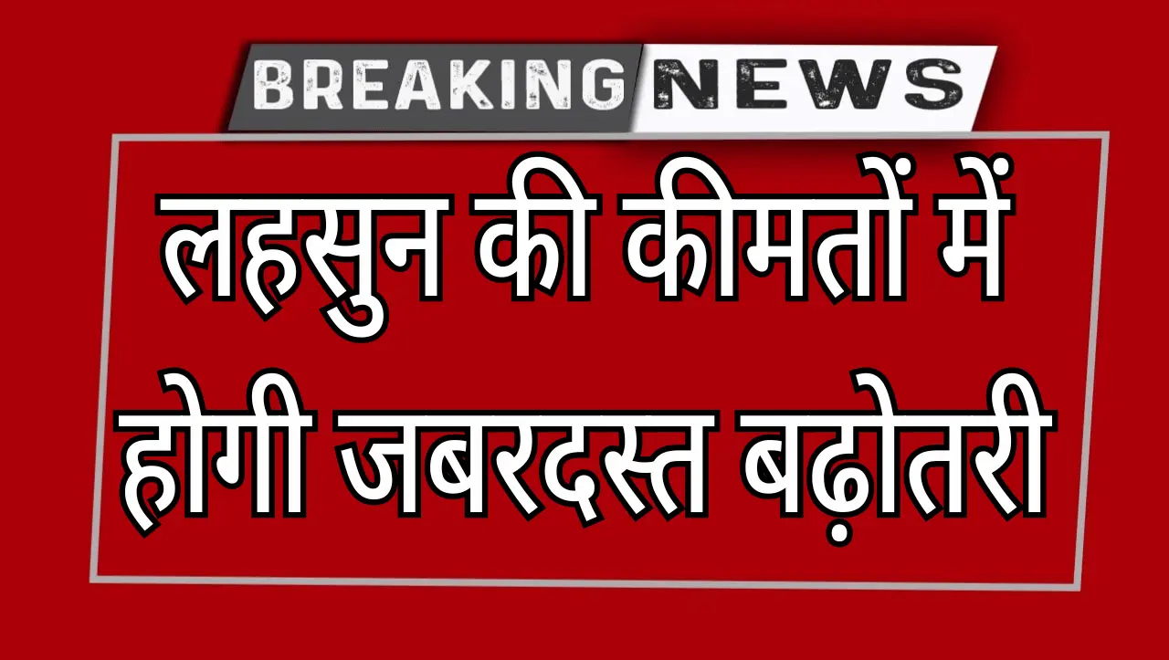 Lahsun Price Hike: लहसुन की कीमतों में होगी जबरदस्त बढ़ोतरी, जानिये मंडी व्यापारियों का अनुमान