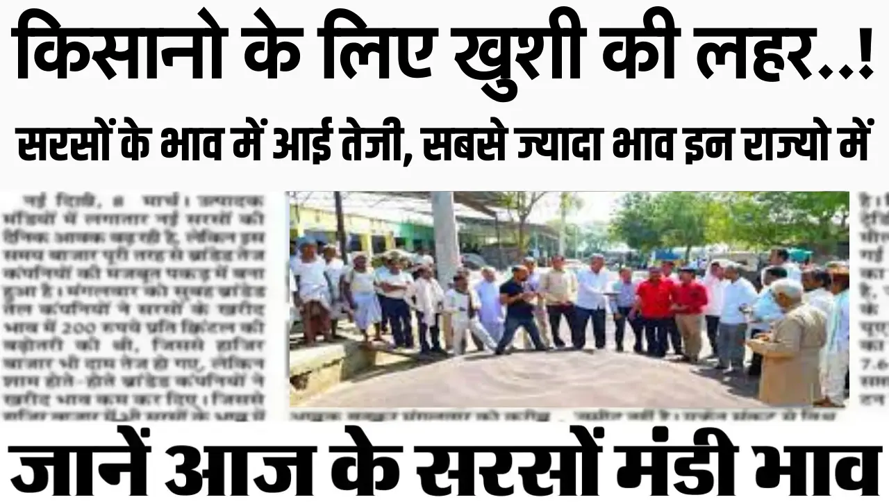 Sarso Mandi Bhav : किसानो के लिए खुशी की लहर..! सरसों के भाव में आई तेजी, इन 5 राज्यों में सरसों के 