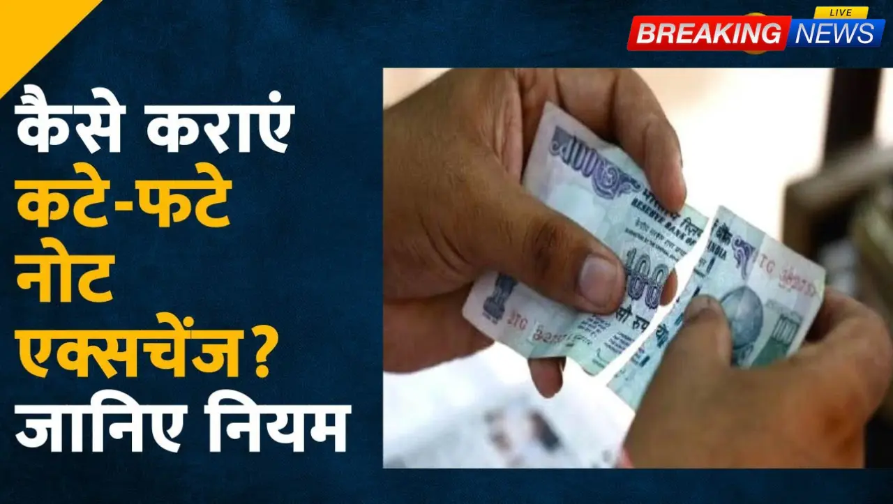 RBI Update: अगर आपके पास फटा हुआ नोट आ जाये तो क्या करे, जाने RBI का ये नया अपडेट