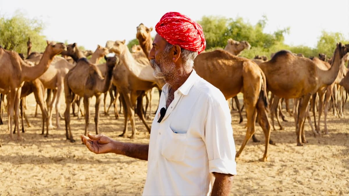 village with the most camels in the words