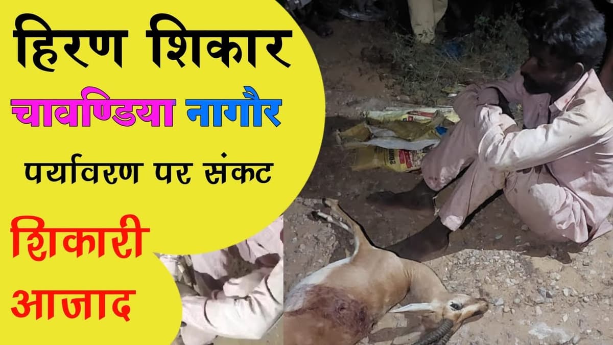 Midnight Hunting in Chavadiya Village – Hunters and Environmentalists Sent to Jail