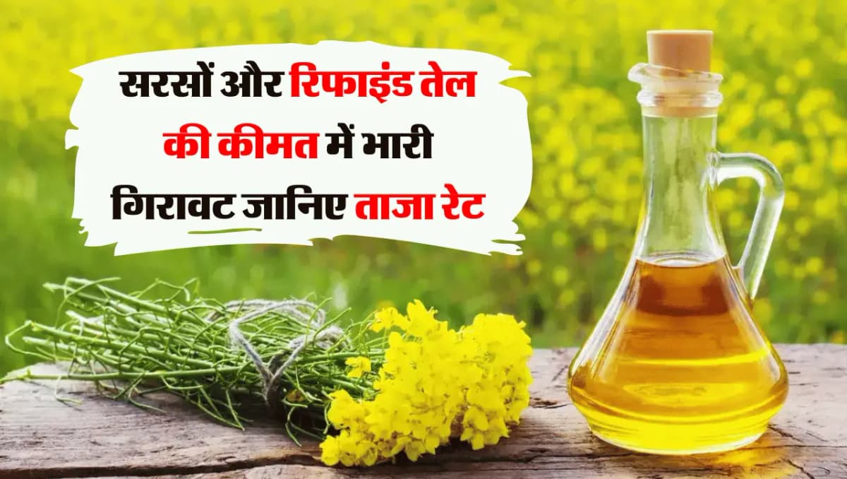 Mustard Oil Rate: सरसों और रिफाइंड तेल की कीमत में भारी गिरावट, जानिए ताजा रेट