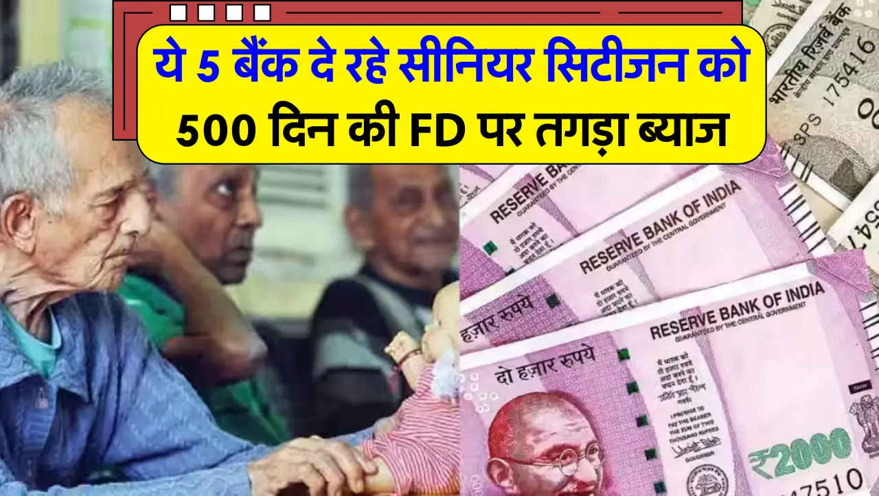 ये 5 बैंक दे रहे सीनियर सिटीजन को 500 दिन की FD पर तगड़ा ब्याज, जानें अधिक