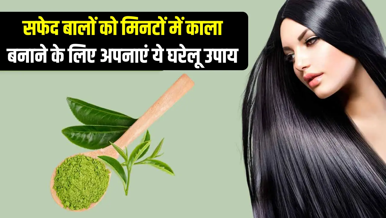 सफेद बालों को मिनटों में काला बनाने के लिए अपनाएं ये घरेलू उपाय, उपाय जान चौंक जाएंगे!