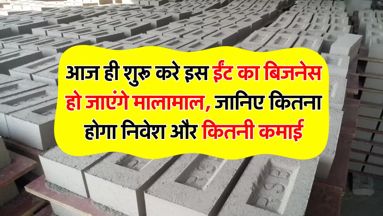 आज ही शुरू करे इस ईंट का बिजनेस हो जाएंगे मालामाल, जानिए कितना होगा निवेश और कितनी कमाई