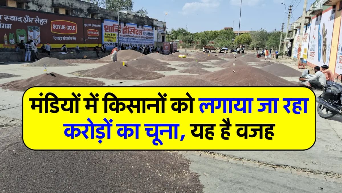 मंडियों में किसानों को लगाया जा रहा करोड़ों का चूना, यह है वजह
