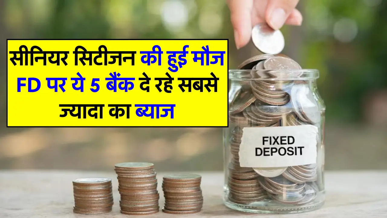 सीनियर सिटीजन की हुई मौज FD पर ये 5 बैंक दे रहे सबसे ज्यादा का ब्याज, इतने समय में पैसा हो जाएगा डबल