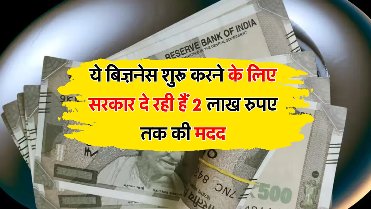 ये बिज़नेस शुरू करने के लिए सरकार दे रही हैं 2 लाख रुपए तक की मदद