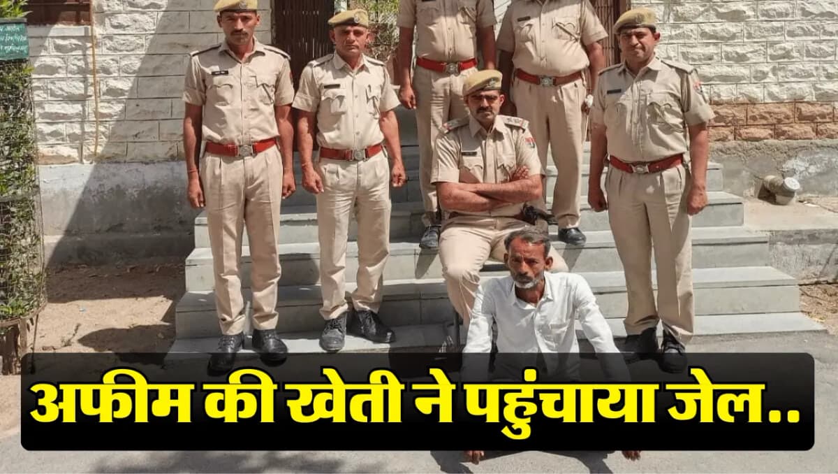 Afeem Farming: गेंहू के खेत में लगाए थे अफीम के पौधे , पुलिस ने छापामार 330 पौधे किए जब्त