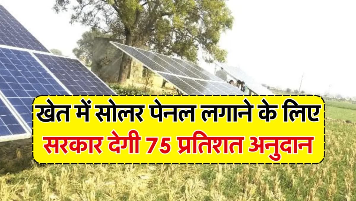 Solar Pump Subsidy: खेत में सोलर पेनल लगाने के लिए सरकार देगी 75 प्रतिशत अनुदान, इस तरह से कर सकेंगे