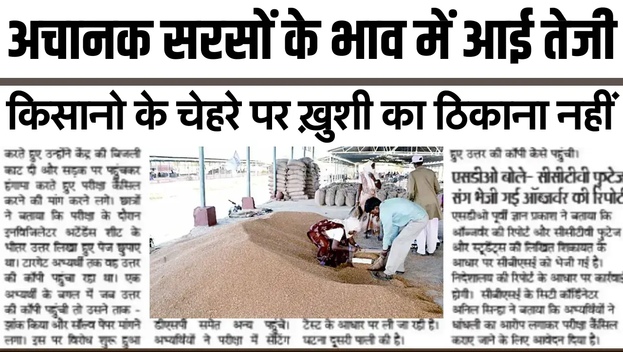 Sarso Bhav : मंदी के बाद अचानक सरसों के भाव में आई तेजी, किसानो के चेहरे पर ख़ुशी का ठिकाना नहीं, दे