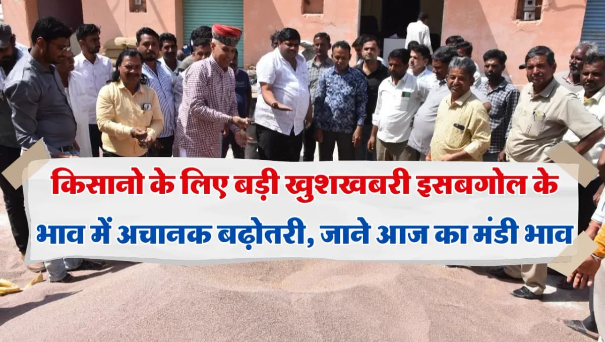 किसानो के लिए बड़ी खुशखबरी इसबगोल के भाव में अचानक बढ़ोतरी, जाने आज का मंडी भाव